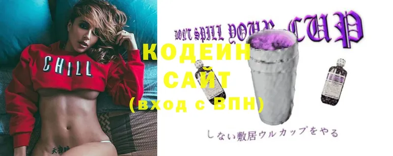 купить наркотики цена  Егорьевск  MEGA маркетплейс  Codein Purple Drank 