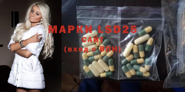 ГАЛЛЮЦИНОГЕННЫЕ ГРИБЫ Лагань