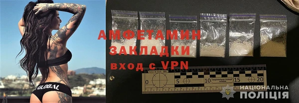 ГАЛЛЮЦИНОГЕННЫЕ ГРИБЫ Лагань