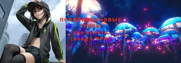 ГАЛЛЮЦИНОГЕННЫЕ ГРИБЫ Лагань