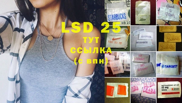 стафф Ладушкин