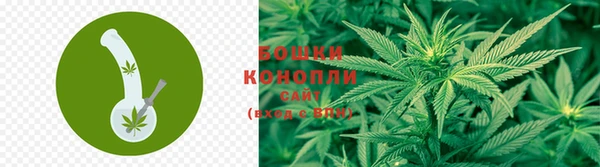 стафф Ладушкин