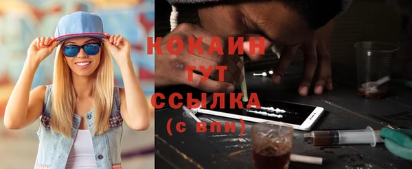 стафф Ладушкин