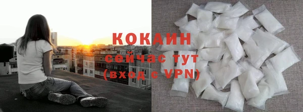 ГАЛЛЮЦИНОГЕННЫЕ ГРИБЫ Лагань