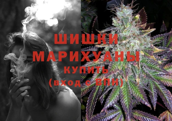 ГАЛЛЮЦИНОГЕННЫЕ ГРИБЫ Лагань