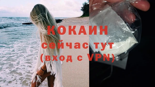 стафф Ладушкин