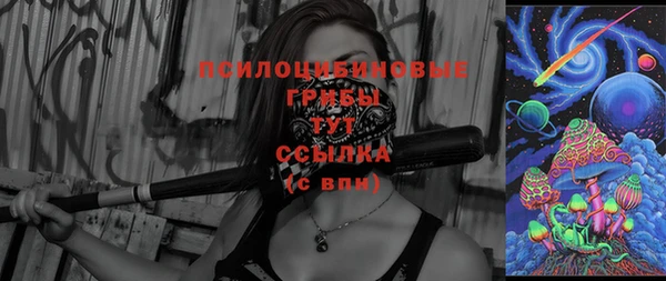 стафф Ладушкин