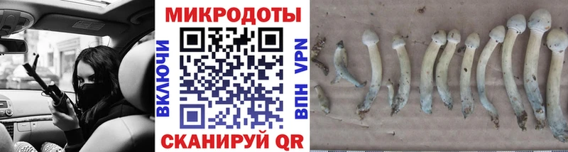 даркнет сайт Егорьевск даркнет какой сайт Псилоцибиновые грибы прущие грибы MEGA как войти