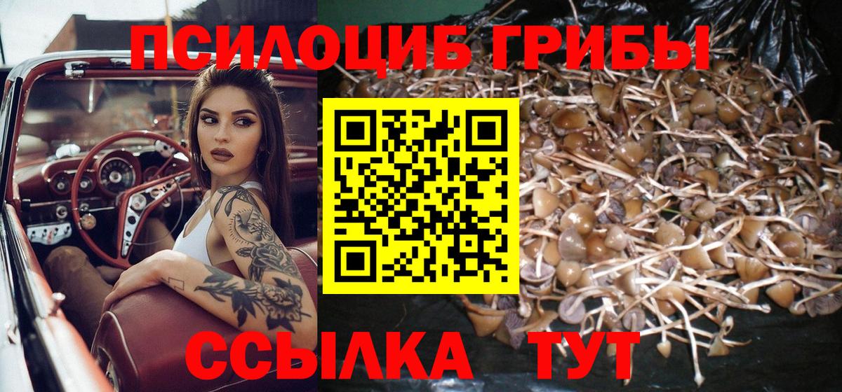 Псилоцибиновые грибы GOLDEN TEACHER Егорьевск