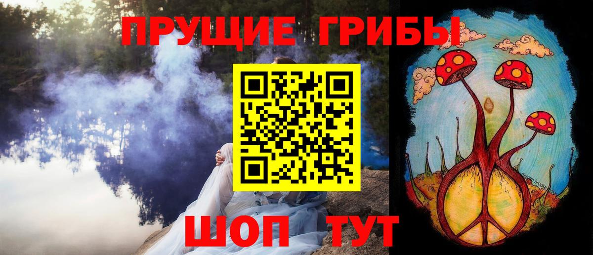 Псилоцибиновые грибы мицелий  Егорьевск  где купить наркоту  Галлюциногенные грибы Cubensis 