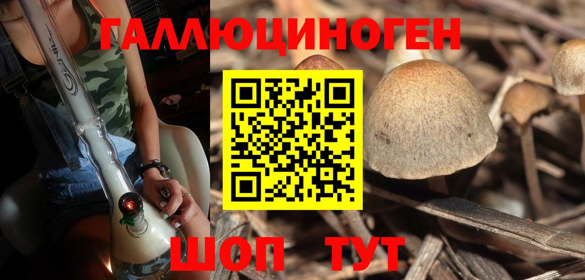 Галлюциногенные грибы ЛСД  Вход с VPN  Егорьевск 